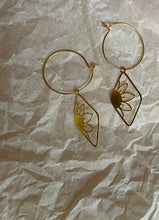 Load image into Gallery viewer, Sunshine