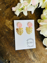 Load image into Gallery viewer, Cheese plants